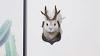 Jackalope Wall Mount Faux Taxidermy Rabbit Head with Antlers - Whimsical 3D Resin Animal Wall Art for Home